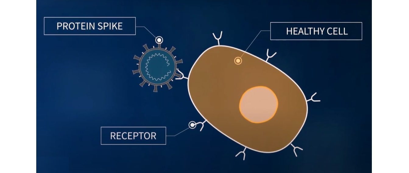 Fakta om covid-19 vaccinet. Så nära är vi.
